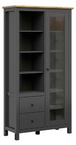 Vitrina HESEN, gri grafit/stejar artisan, PAL melaminat/sticla securiz