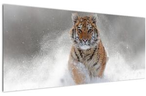 Tablou cutigru fugind prin zăpadă (120x50 cm)