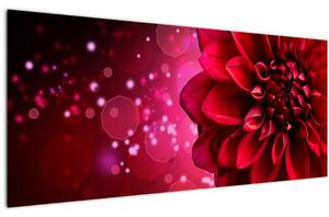 Tablou cu floare roșie (120x50 cm)