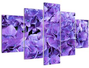 Tablou cu flori violete (150x105 cm)