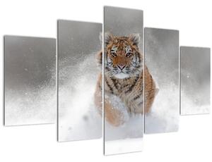 Tablou cutigru fugind prin zăpadă (150x105 cm)