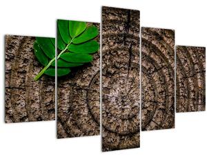 Tablou cu frunză pe trunchi de copac (150x105 cm)