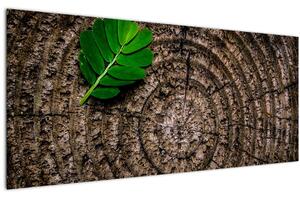 Tablou cu frunză pe trunchi de copac (120x50 cm)