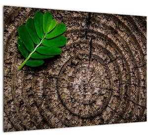 Tablou cu frunză pe trunchi de copac (70x50 cm)