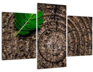 Tablou cu frunză pe trunchi de copac (90x60 cm)
