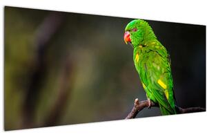 Tablou cu papagal pe greangă (120x50 cm)
