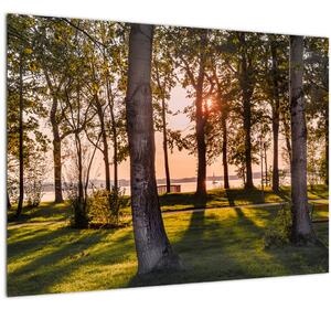 Tablou cu pomi lângă lac (70x50 cm)
