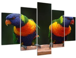 Tablou cu papagali (150x105 cm)