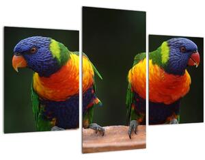 Tablou cu papagali (90x60 cm)