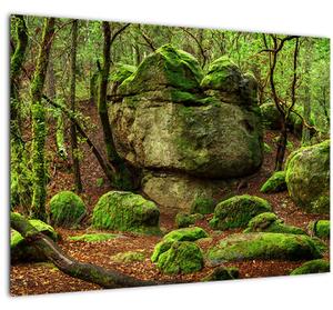 Tablou cu pădurea fermecată (70x50 cm)