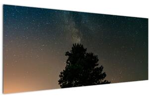 Tablou cu cerul nocturn și copaci (120x50 cm)
