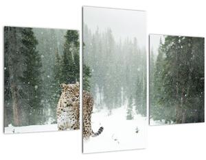 Tablou cu leopard în zăpadă (90x60 cm)