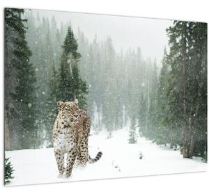 Tablou cu leopard în zăpadă (70x50 cm)