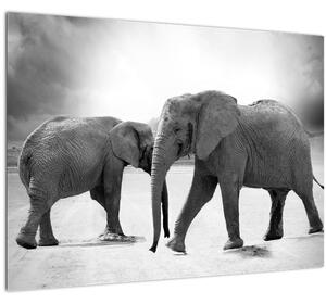 Tablou pe sticlă cu elefanți (70x50 cm)