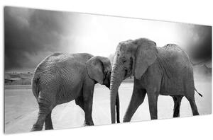 Tablou cu elefanți (120x50 cm)