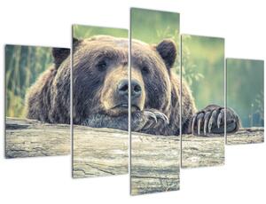 Tablou cu urs (150x105 cm)