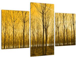 Tablou cu pădure în apus de soare (90x60 cm)