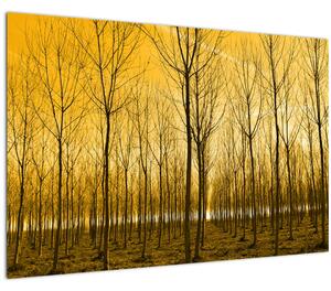 Tablou cu pădure în apus de soare (90x60 cm)