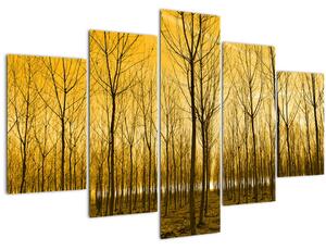 Tablou cu pădure în apus de soare (150x105 cm)