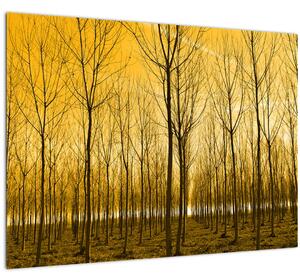Tablou cu pădure în apus de soare (70x50 cm)