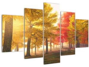 Tablou cu copaci toamna (150x105 cm)