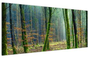 Tablou cu pădure (120x50 cm)
