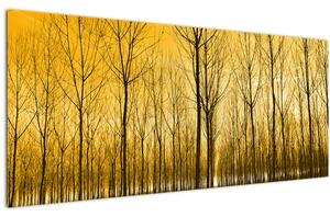Tablou cu pădure în apus de soare (120x50 cm)