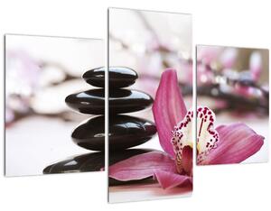 Tablou cupietre pentru masaj și orhidee (90x60 cm)