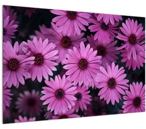 Tablou cu florile roz (90x60 cm)