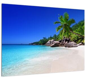 Tablou cu plaja pe insula Praslin (70x50 cm)