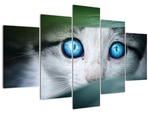 Tablou cu pisica (150x105 cm)
