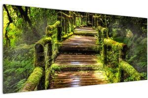 Tablou cu scări într-o pădure tropicală (120x50 cm)