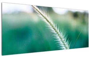 Tablou cu fir de iarbă (120x50 cm)
