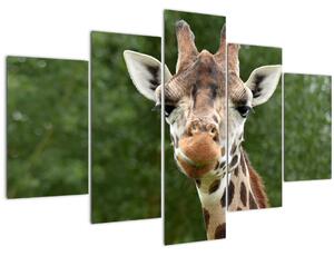 Tablou cu girafa (150x105 cm)