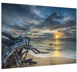Tablou cu marea în apus de soare (70x50 cm)