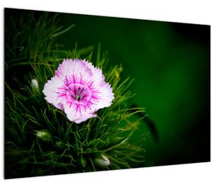 Tablou cu floare roz (90x60 cm)