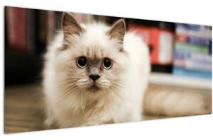 Tablou cu pisica albăr (120x50 cm)