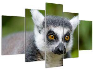 Tablou cu lemur (150x105 cm)