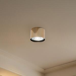 Argon Spot de tavan Chloe fix, oțel culoare alamă, reglabil, Auriu / Alamă, Camera de zi / sufragerie, Metal, Modern