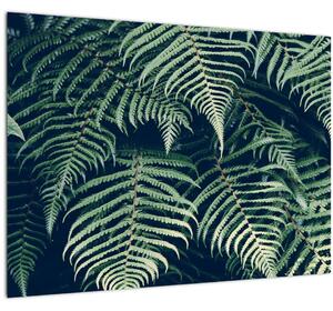 Tablou cu frunze de ferigă (70x50 cm)
