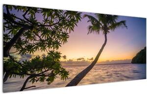 Tablou cu palmier pe plajă (120x50 cm)