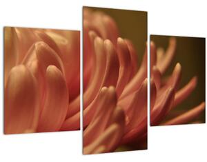 Tablou cu detailu florii (90x60 cm)