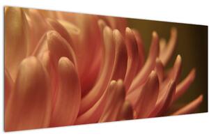 Tablou cu detailu florii (120x50 cm)