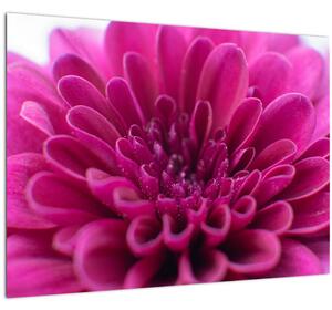 Tablou cu floare (70x50 cm)