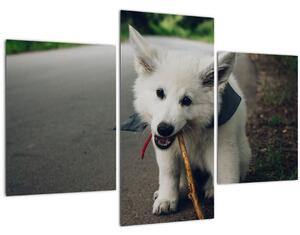 Tablou cu câinele alb (90x60 cm)