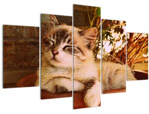 Tablou cu pisica în ghiveci (150x105 cm)