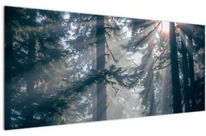 Tablou cu copaci și soarele translucind (120x50 cm)