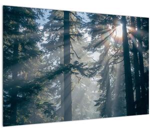 Tablou cu copaci și soarele translucind (90x60 cm)