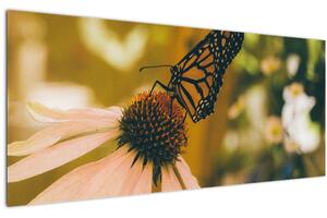 Tablou cu fluture pe floare (120x50 cm)