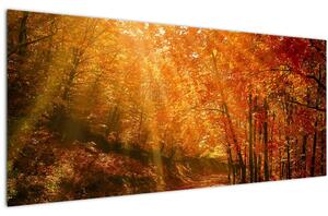 Tablou cu pădurea în toamnă (120x50 cm)